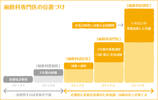 麻酔科認定医師の位置づけ