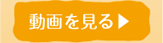 動画を見る