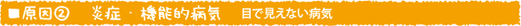 原因2 炎症・機能的病気 目で見えない病気